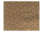 321 Gold Diamond Velvet